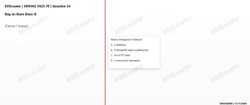 24.webp