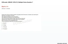 7.webp