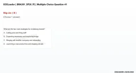41.webp