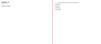 13.webp