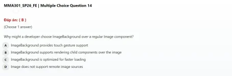 14.webp