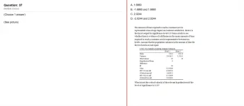 37.webp