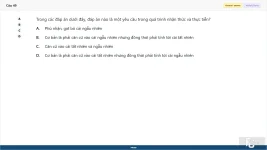 MLN111 SP26 FE_49.webp
