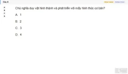 MLN111 SU26 FE_006.webp