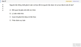 MLN111 SU26 FE_027.webp