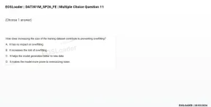 mc_question_11.webp