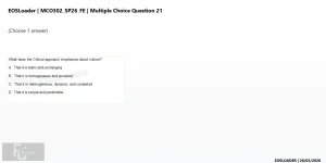 mc_question_21.webp
