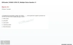 Q_011.webp