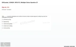 Q_025.webp