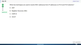 NWC204 SP26 FE_019.webp