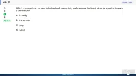 NWC204 SP26 FE_030.webp