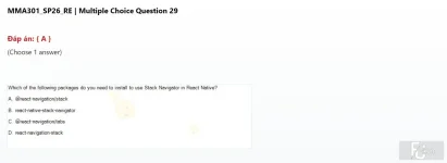 MMA301 SP26 FE RE_029.webp