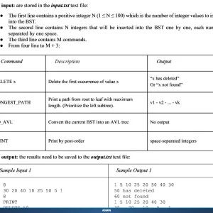 CSD203 SP26 B5 PE_012.webp