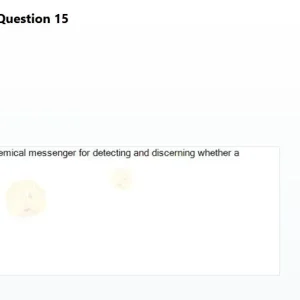 BDT201c SP26 RE_015.webp