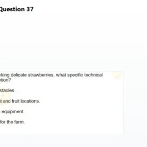 BDT201c SP26 RE_037.webp
