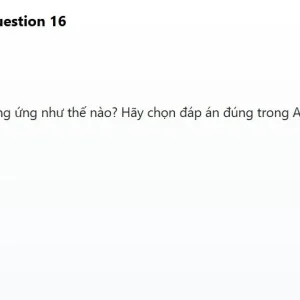JPD113 SP26 B5 FE RE_016.webp