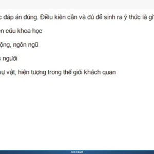 MLN111 SP26 B5 FE RE_020.webp