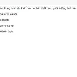 MLN111 SU26 FE_055.webp