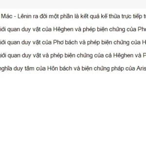 MLN111 SU26 FE_008.webp