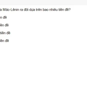 MLN111 SU26 FE_010.webp