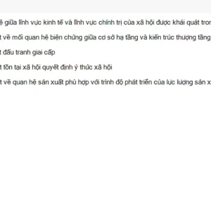 MLN111 SU26 FE_032.webp