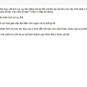 MLN111 SU26 FE_057.webp