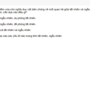 MLN111 SU26 C2FE_023.webp