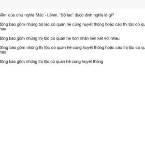 MLN111 SU26 C2FE_036.webp