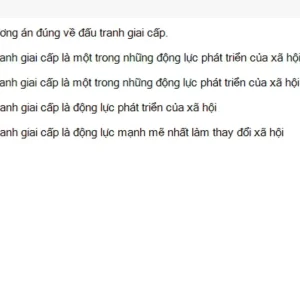 MLN111 SU26 C2FE_039.webp