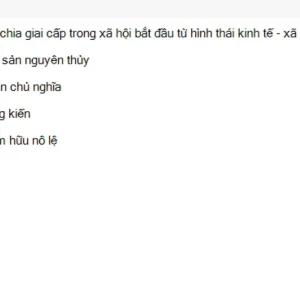 MLN111 SU26 C2FE_040.webp