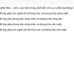 MLN131 SU26 FE RE_011.webp
