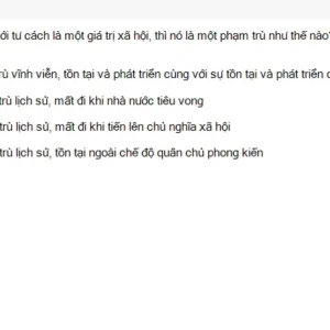 MLN131 SU26 FE RE_028.webp