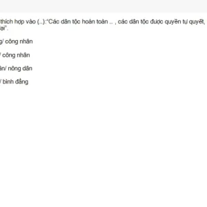 MLN131 SU26 FE RE_038.webp
