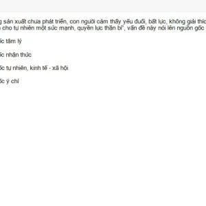 MLN131 SU26 FE RE_043.webp