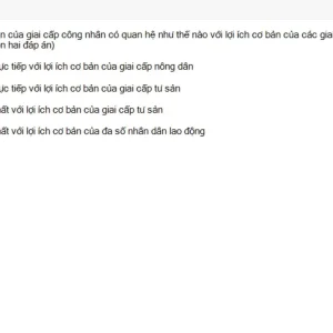 MLN131 SU26 FE RE_055.webp