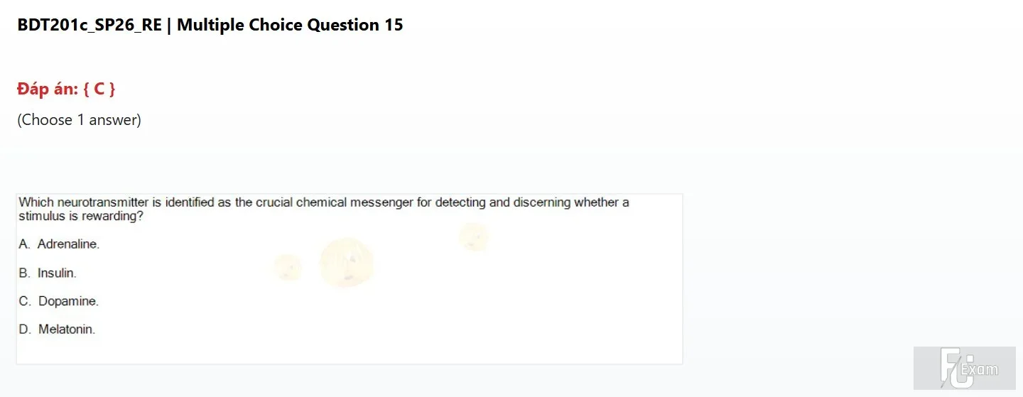 BDT201c SP26 RE_015.webp