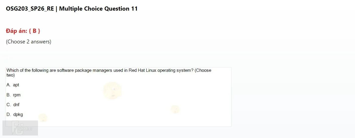 OSG203 SP26 FE RE_11.webp