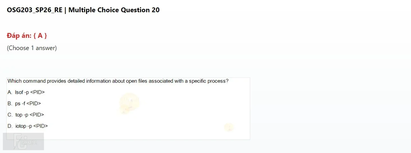 OSG203 SP26 FE RE_20.webp