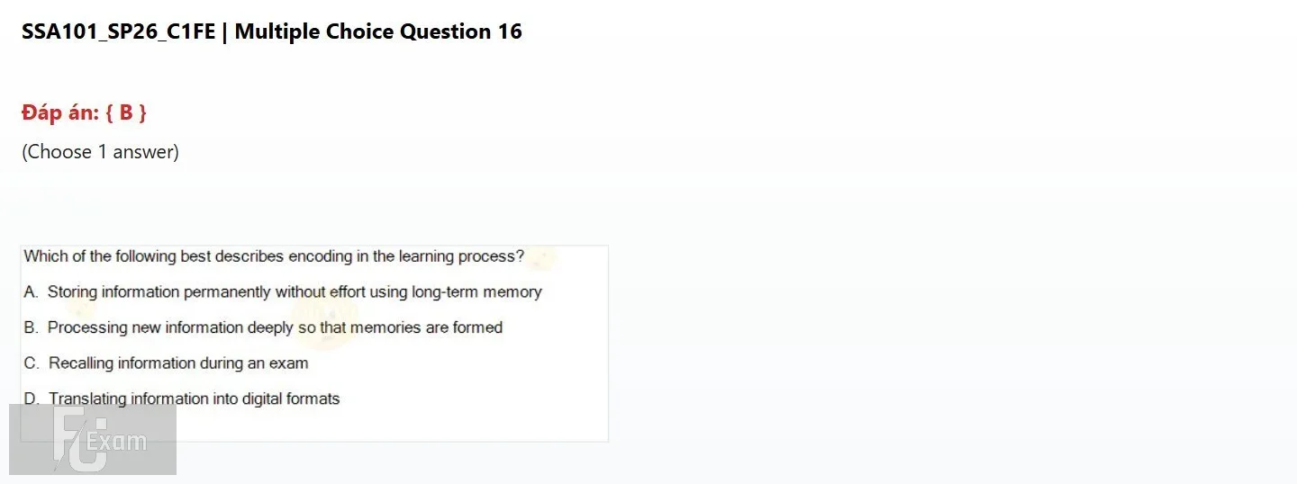 SSA101 SP26 FE_016.jpg